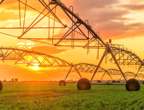 NSW IRRIGATORS COUNCIL GOVERNANCE HEALTH CHECK